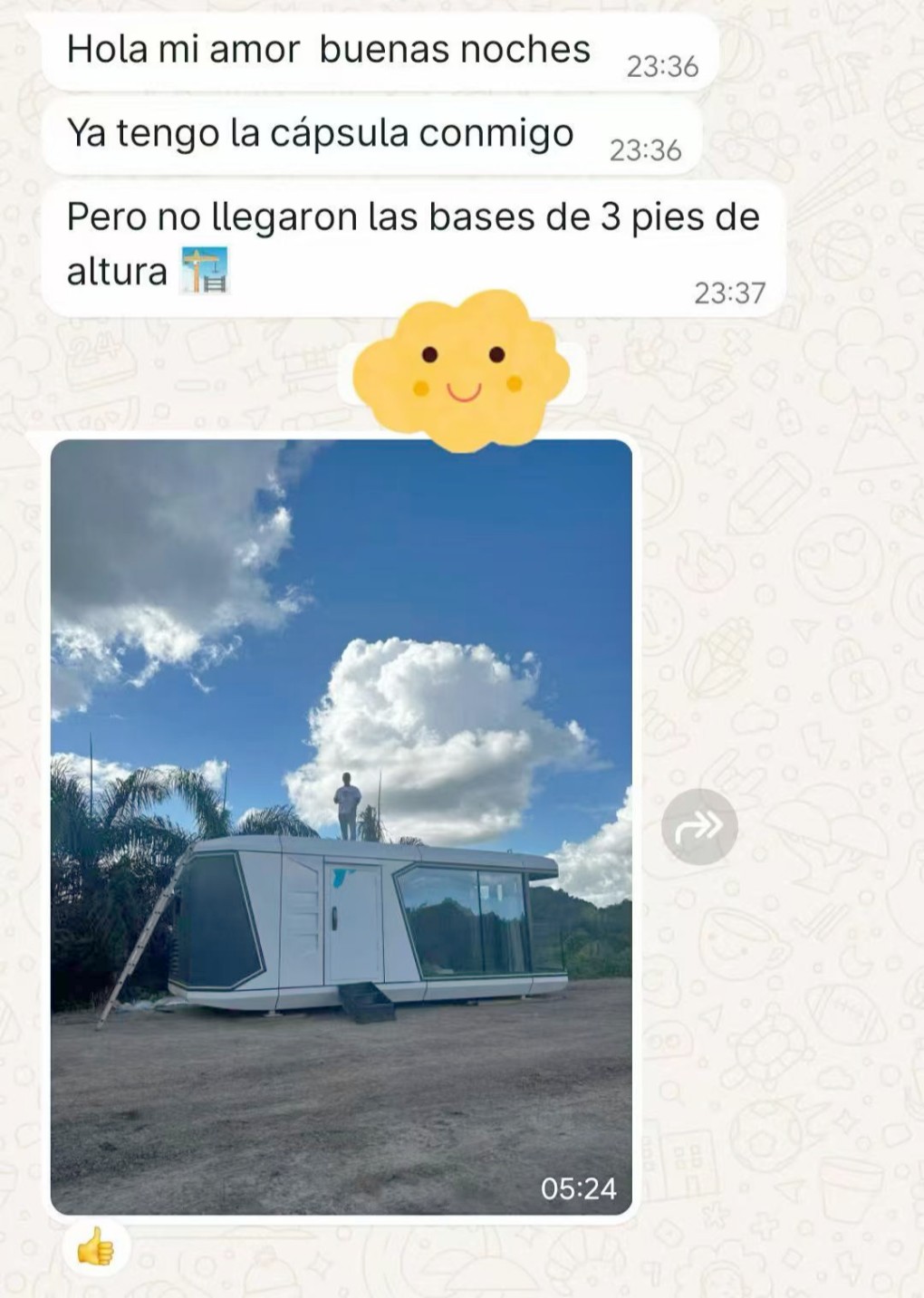 Space Capsule House Modular Home